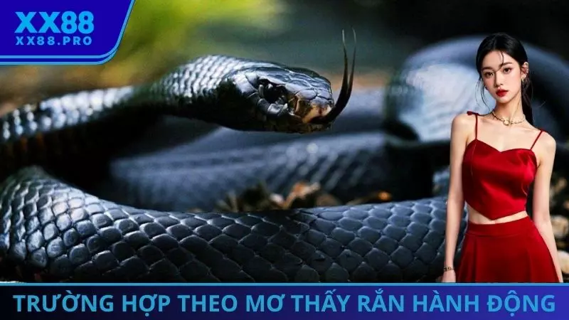 Trường hợp theo mơ thấy rắn hành động