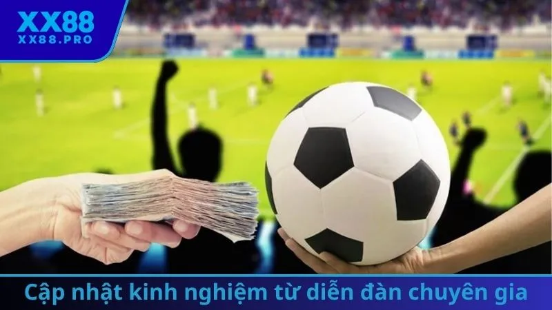 Cập nhật kinh nghiệm từ diễn đàn chuyên gia