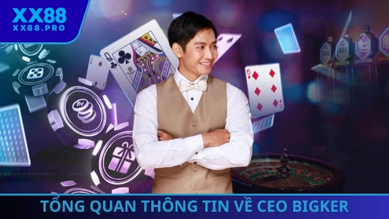 Tổng quan về CEO BIGKER